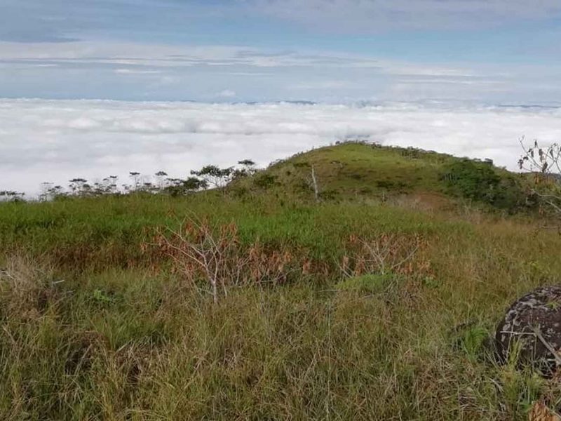 0 bed Lot/Land For Sale in San Isidro-Perez Zeledon,  - 1